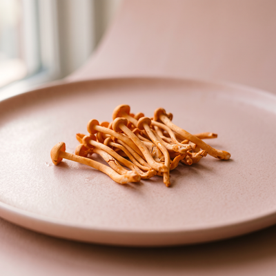Cordyceps